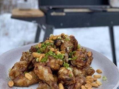 Гриль в мороз и снег