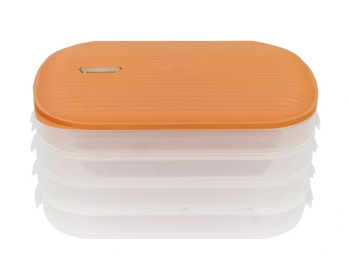 Контейнер с крышкой для хранения и заморозки продуктов на 4 секции, 32х22х16 см, оранжевый