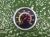 Керамический гриль SE-Minimax (зеленый), 40.5 см / 16 дюймов, Plover