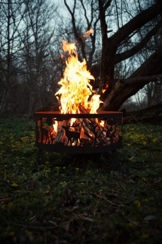 Костровище с зольником “Лес”, d66, "Стальные решения"