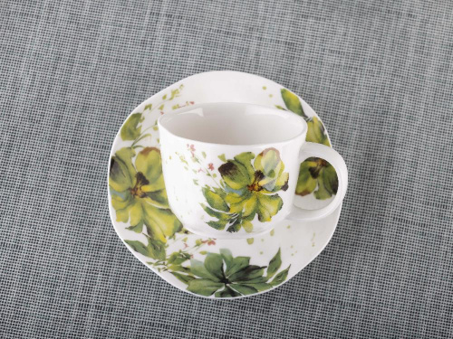 Чайная пара Green Line: чашка, блюдце, PLOVER, 250 мл