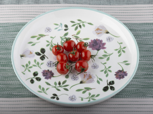 Тарелка керамическая Spring Line, PLOVER, 25 см