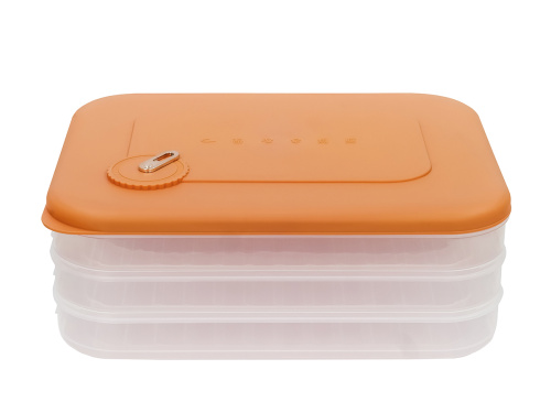 Контейнер с крышкой для хранения и заморозки продуктов на 3 секции, 30х23х11 см, оранжевый