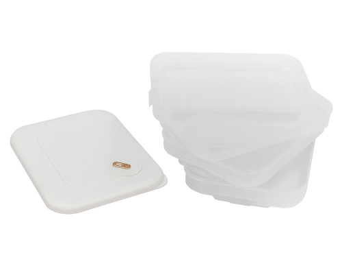 Контейнер с крышкой для хранения и заморозки продуктов на 4 секции, 30х23х14 см, белый