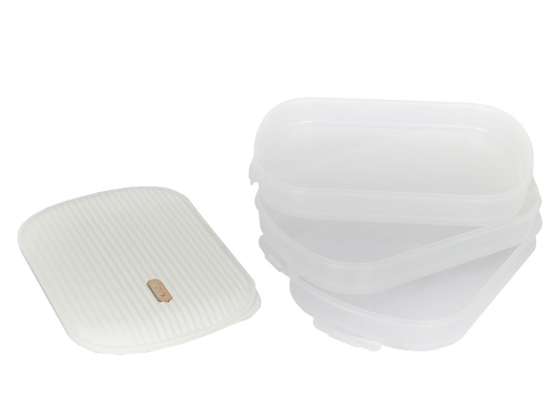 Контейнер с крышкой для хранения и заморозки продуктов на 3 секции, 32х22х13 см, белый