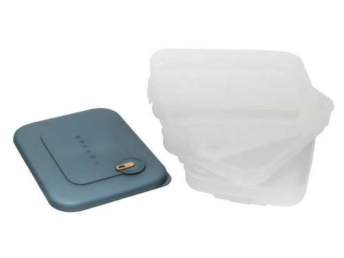 Контейнер с крышкой для хранения и заморозки продуктов на 4 секции, 30х23х14 см, синий