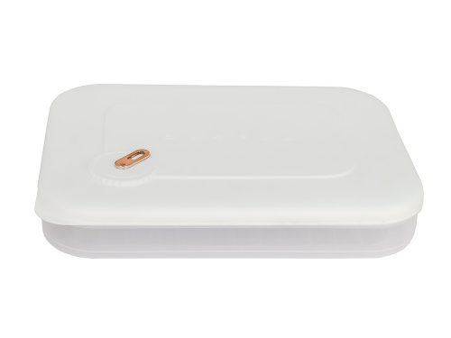 Контейнер с крышкой для хранения и заморозки продуктов на 1 секцию, 30х23х5 см, белый