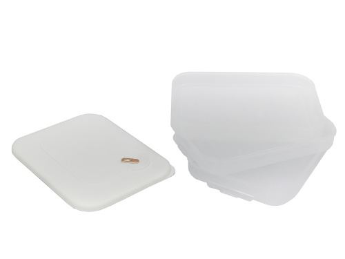 Контейнер с крышкой для хранения и заморозки продуктов на 3 секции, 30х23х11 см, белый