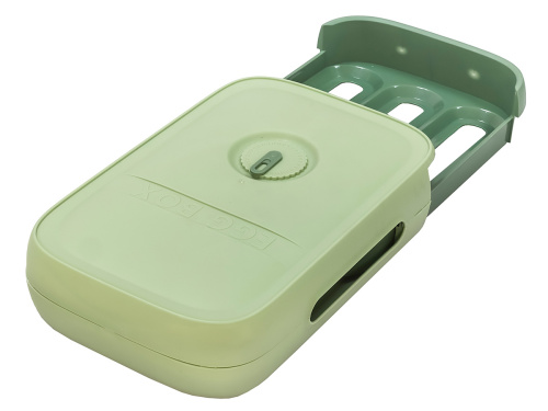 Контейнер для хранения яиц (на 24 штуки), 34х24х8 см, зеленый