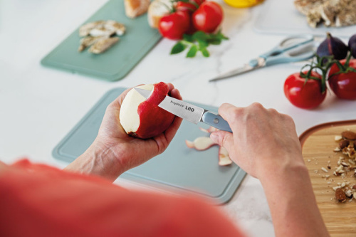 Нож для чистки 9 см Leo Slate