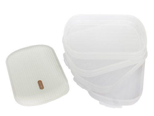 Контейнер с крышкой для хранения и заморозки продуктов на 4 секции, 32х22х16 см, белый 