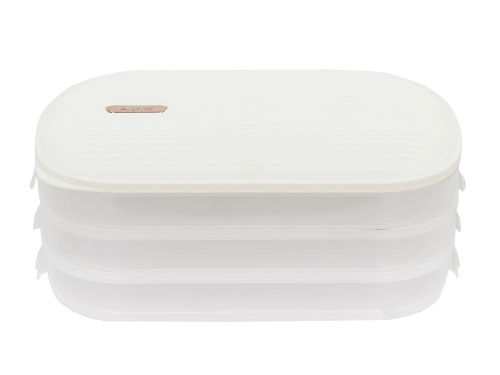 Контейнер с крышкой для хранения и заморозки продуктов на 3 секции, 32х22х13 см, белый