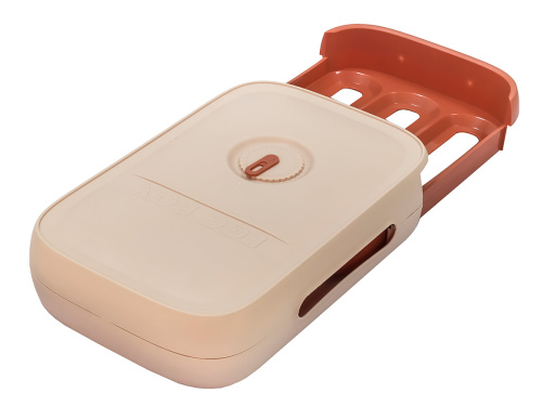 Контейнер для хранения яиц (на 24 штуки), 34х24х8 см, розовый