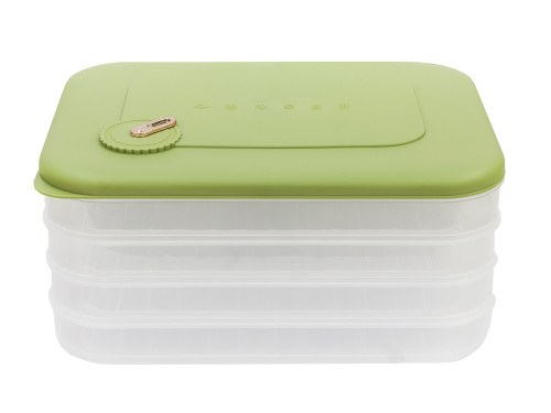 Контейнер с крышкой для хранения и заморозки продуктов на 4 секции, 30х23х14 см, зеленый