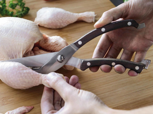 Ножницы BergHOFF Essentials для птицы и рыбы, 25 см