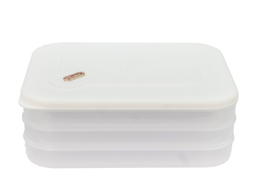 Контейнер с крышкой для хранения и заморозки продуктов на 3 секции, 30х23х11 см, белый