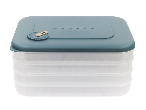 Контейнер с крышкой для хранения и заморозки продуктов на 4 секции, 30х23х14 см, синий