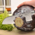 Нож сантоку BergHOFF Gourmet, Бельгия, 18 см Нож сантоку BergHOFF Gourmet, Бельгия, 18 см