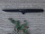 Нож для выемки костей BergHOFF Ron, 15 см Нож для выемки костей BergHOFF Ron, 15 см