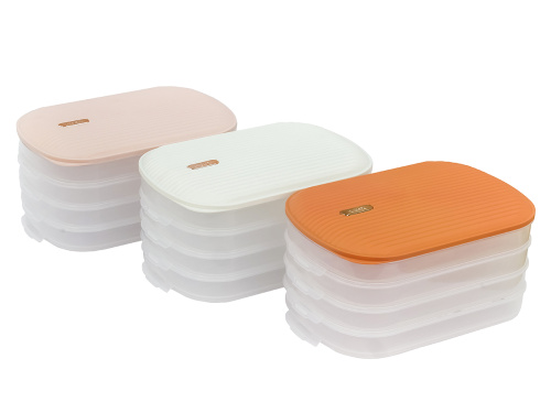 Контейнер с крышкой для хранения и заморозки продуктов на 4 секции, 32х22х16 см, белый 